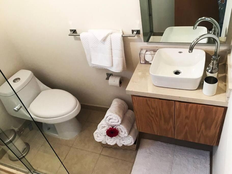 Cerca De Hospital Infantil Wtc Centrico Y Seguro! Apartment Mexico City